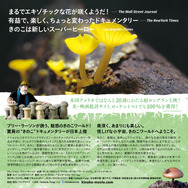 『素晴らしき、きのこの世界』(C)2018, Fantastic Fungi, LLC