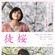 徒桜 1枚目の写真・画像