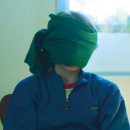 パーフェクト・ノーマル・ファミリー 2枚目の写真・画像