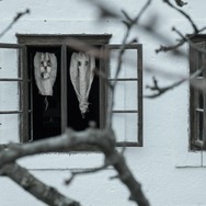 ポスト・モーテム 遺体写真家トーマス 5枚目の写真・画像