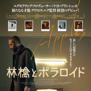 林檎とポラロイド 1枚目の写真・画像