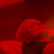 ポゼッサー 5枚目の写真・画像