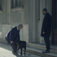 林檎とポラロイド 9枚目の写真・画像