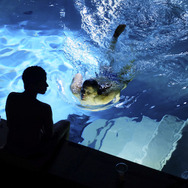 『クレッシェンド 音楽の架け橋』（C）CCC Filmkunst GmbH