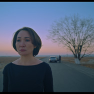 赤ザクロ 1枚目の写真・画像