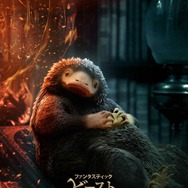 ファンタスティック・ビーストとダンブルドアの秘密 23枚目の写真・画像