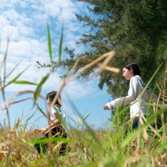 三月的南国之南 1枚目の写真・画像