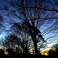 眠り姫 サラウンドリマスター版 1枚目の写真・画像