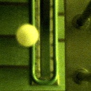 眠り姫 サラウンドリマスター版 6枚目の写真・画像