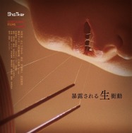 Sexual Drive 1枚目の写真・画像