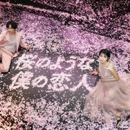 Netflix映画『桜のような僕の恋人』プレミアイベント