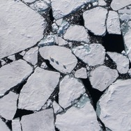 @ 2022 Disney