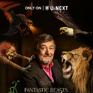 © Warner Bros. Entertainment UK Limited 2022