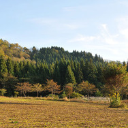 「八海山と千年こうじやの酒と発酵セミナー」