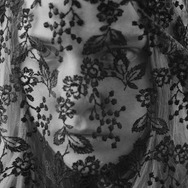 ノベンバー 5枚目の写真・画像