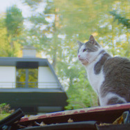 『地下室のヘンな穴』（C） ATELIER DE PRODUCTION - ARTE FRANCE CINÉMA - VERSUS PRODUCTION – 2022