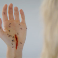 地下室のヘンな穴 11枚目の写真・画像