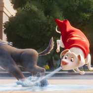 DC がんばれ！スーパーペット 3枚目の写真・画像