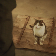 地下室のヘンな穴 12枚目の写真・画像