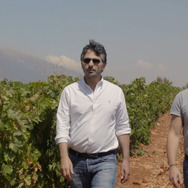 戦地で生まれた奇跡のレバノンワイン 8枚目の写真・画像