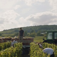 ソウル・オブ・ワイン 11枚目の写真・画像
