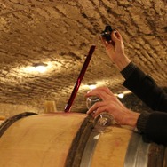 ソウル・オブ・ワイン 14枚目の写真・画像