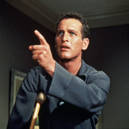 熱いトタン屋根の猫 6枚目の写真・画像