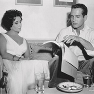 熱いトタン屋根の猫 8枚目の写真・画像