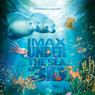 『Under the Sea 3D -アンダー・ザ・シー』©2008 Warner Bros. Ent. All Rights Reserved