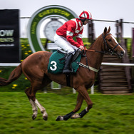 ドリーム・ホース 14枚目の写真・画像