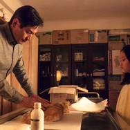 よりそう花ゝ 4枚目の写真・画像