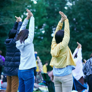 夜空と交差する森の映画祭2023開催決定