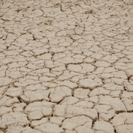 ©GREAT GREEN WALL, LTD