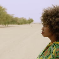 ©GREAT GREEN WALL, LTD