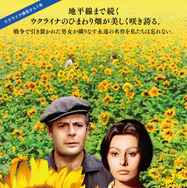 ひまわり 50周年HDレストア版 2枚目の写真・画像