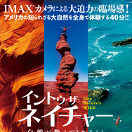 イントゥ・ザ・ネイチャー 自然が教えてくれること 1枚目の写真・画像