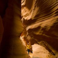 イントゥ・ザ・ネイチャー 自然が教えてくれること 3枚目の写真・画像