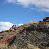 イントゥ・ザ・ネイチャー 自然が教えてくれること 10枚目の写真・画像
