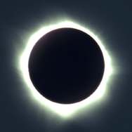 ダークグラス 11枚目の写真・画像