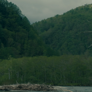 サイド バイ サイド 隣にいる人 3枚目の写真・画像