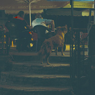 ジョージア、白い橋のカフェで逢いましょう 23枚目の写真・画像