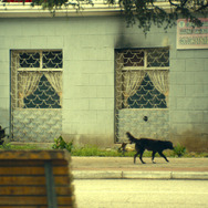 ジョージア、白い橋のカフェで逢いましょう 24枚目の写真・画像