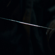 ダークグラス 14枚目の写真・画像