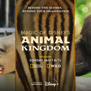 『Magic of Disney’s Animal Kingdom　ディズニー・アニマルキングダムの魔法』シーズン2© 2023 National Geographic Partners LCC.