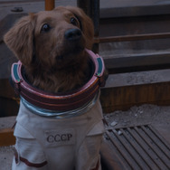 ガーディアンズ・オブ・ギャラクシー： VOLUME 3 13枚目の写真・画像