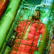 オオカミ狩り 31枚目の写真・画像