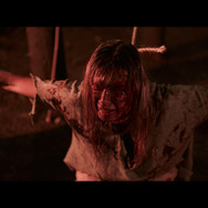 プー あくまのくまさん 13枚目の写真・画像