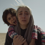 君は行く先を知らない 11枚目の写真・画像