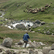 君は行く先を知らない 14枚目の写真・画像