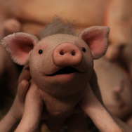 愛しのクノール 7枚目の写真・画像